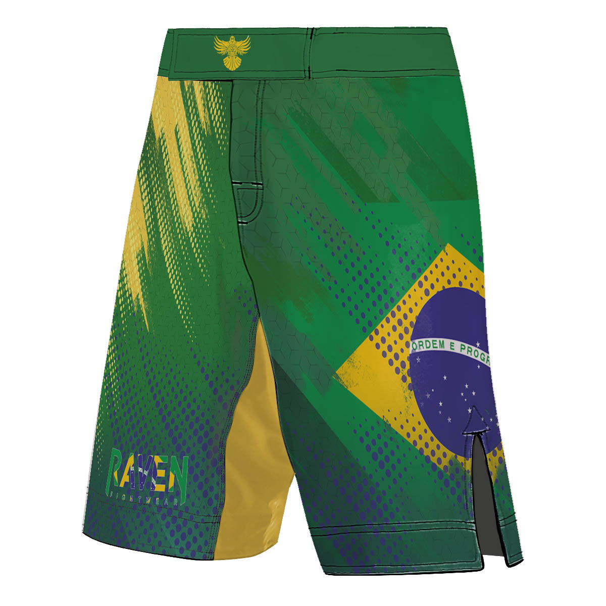 Valour Series Men's Fight Shorts