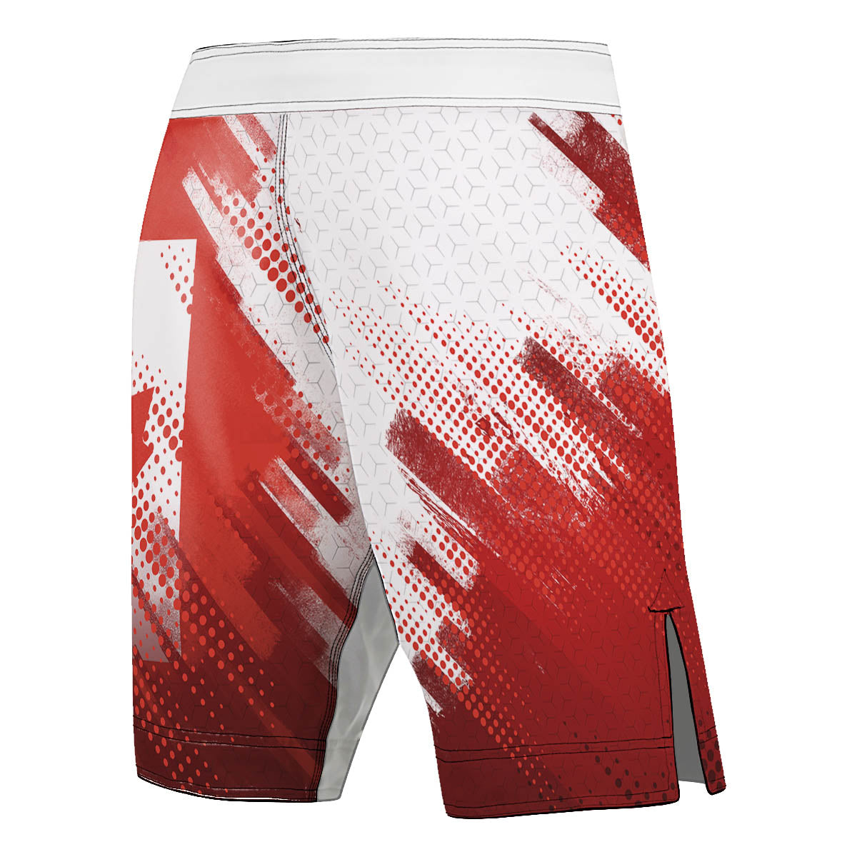 Valour Series Men's Fight Shorts