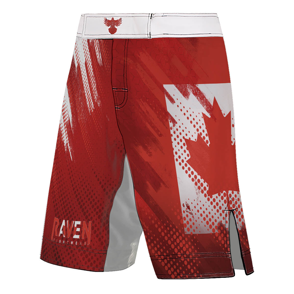 Valour Series Men's Fight Shorts