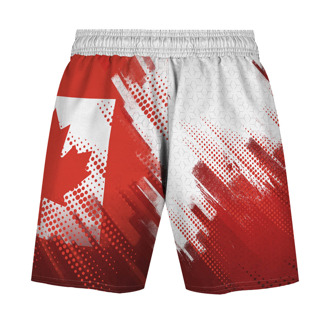 Valour Series Men's Hybrid Fight Shorts