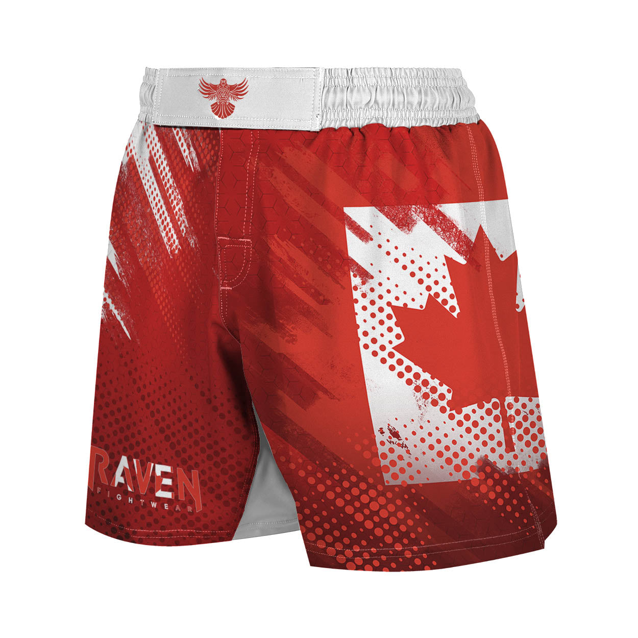 Valour Series Men's Hybrid Fight Shorts