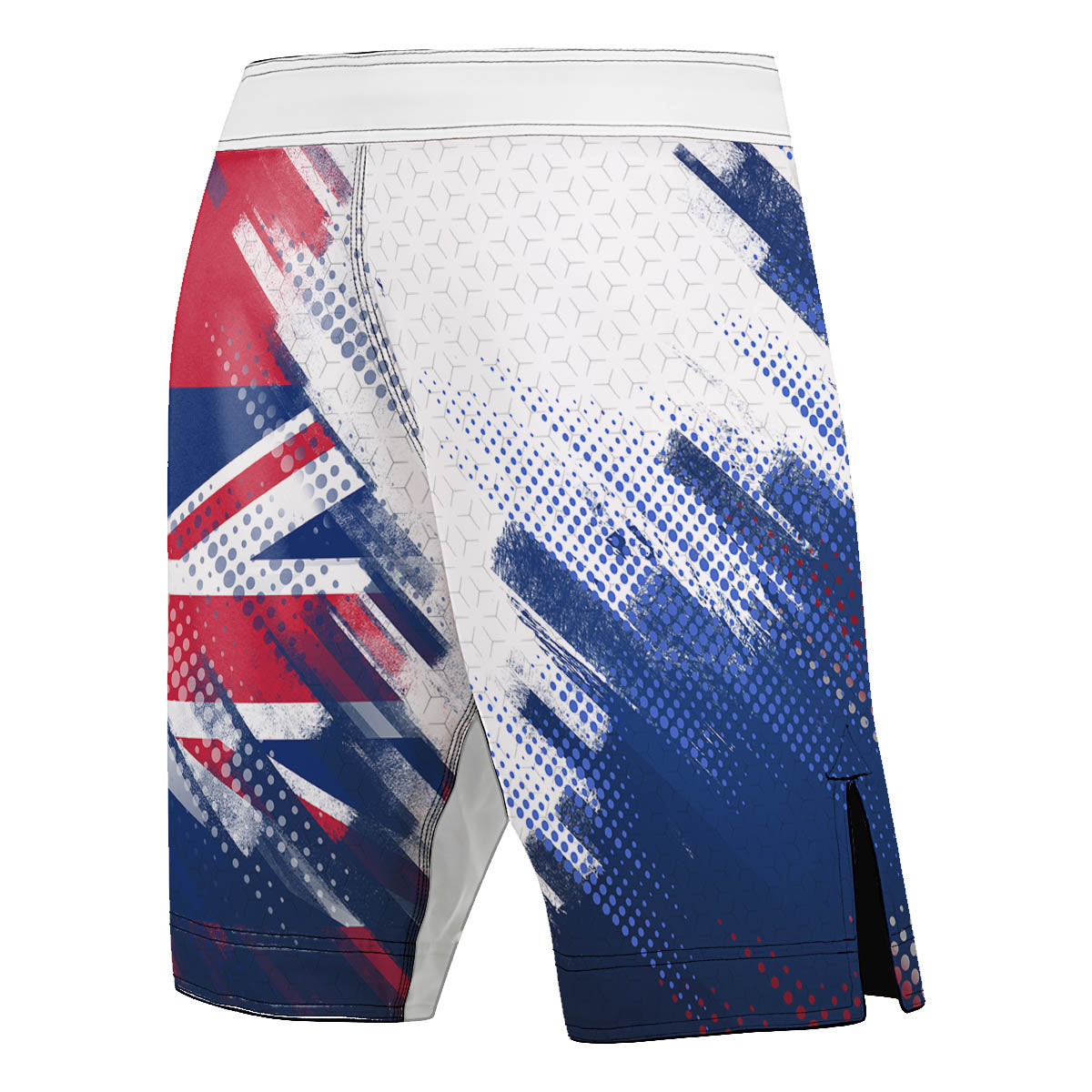 Valour Series Men's Fight Shorts