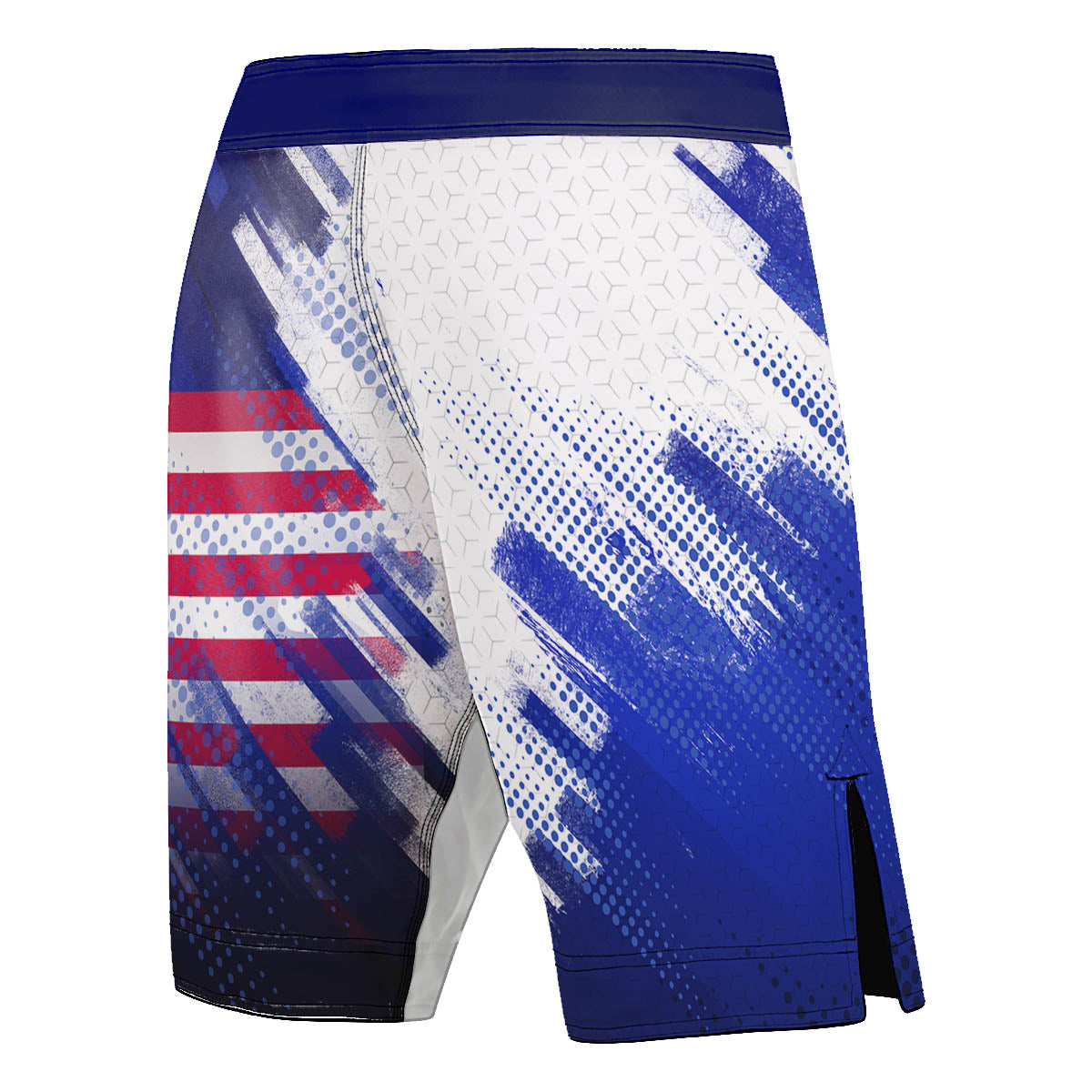 Valour Series Men's Fight Shorts