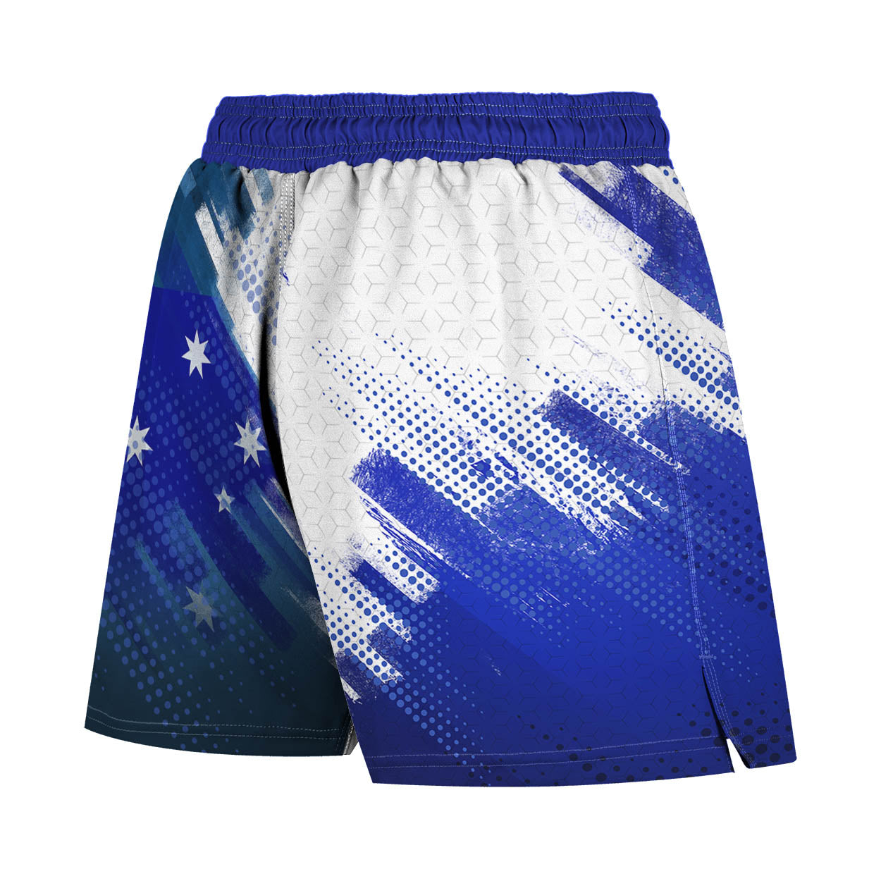 Valour Series Men's Hybrid Fight Shorts