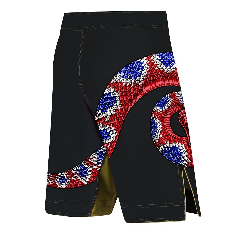 Desert Dynasty Team Fight Shorts - Raven Fightwear - US