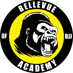 BA BJJ