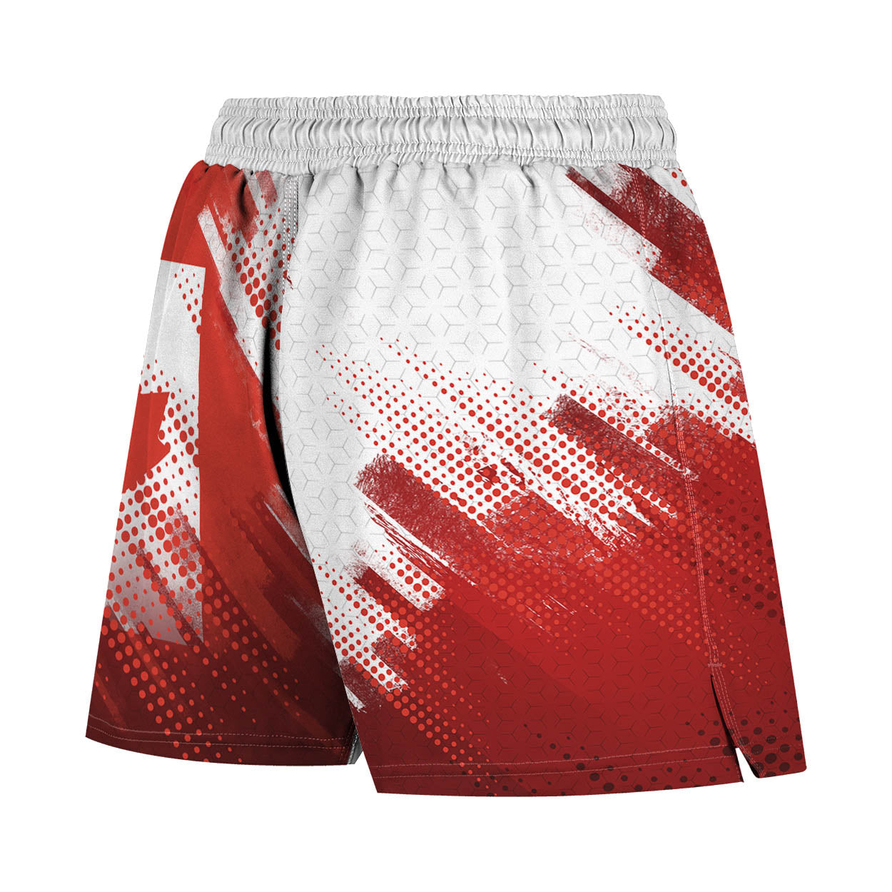 Valour Series Men's Hybrid Fight Shorts