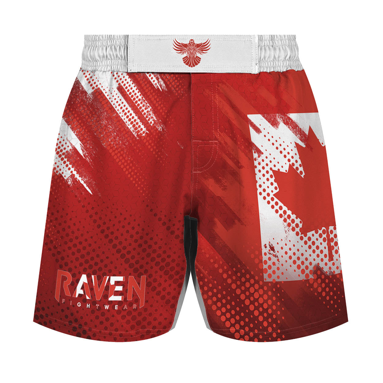 Valour Series Men's Hybrid Fight Shorts
